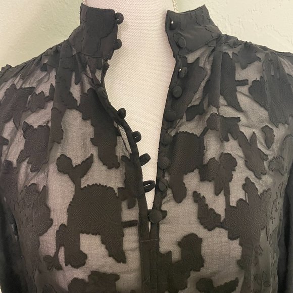 NWOT Sheer Balloon Long Sleeve Floral Top - Banana Republic - Picture 4 of 6